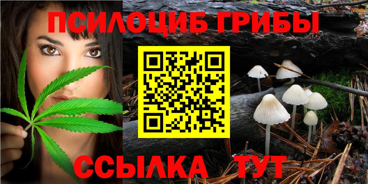 Галлюциногенные грибы Psilocybine cubensis  Вход с VPN  Серпухов 